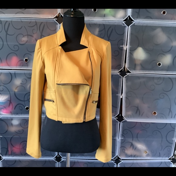 Ladies jacket - Picture 3 of 4